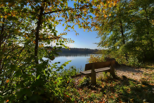 后场快速反 后场快速反