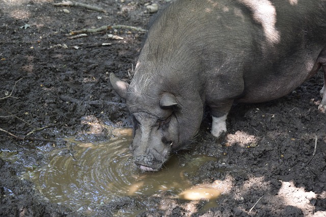 脅對手防線 脅對手防線