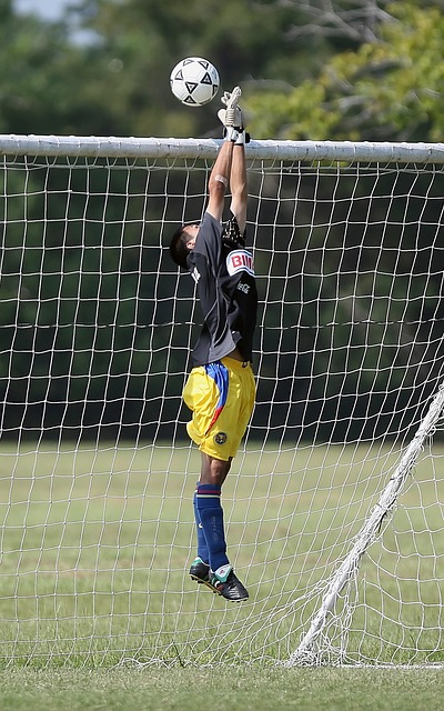 内外粉丝欢 内外粉丝欢