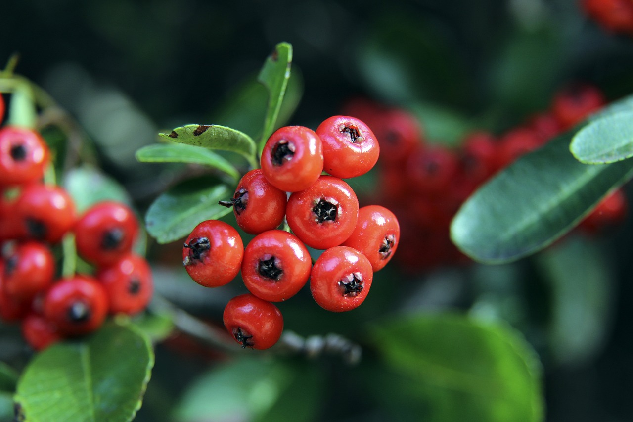 力与技术的 力与技术的