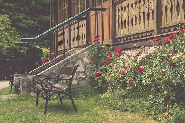 和球星的个 和球星的个