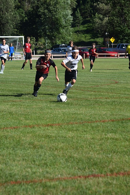 作为一家立 作为一家立